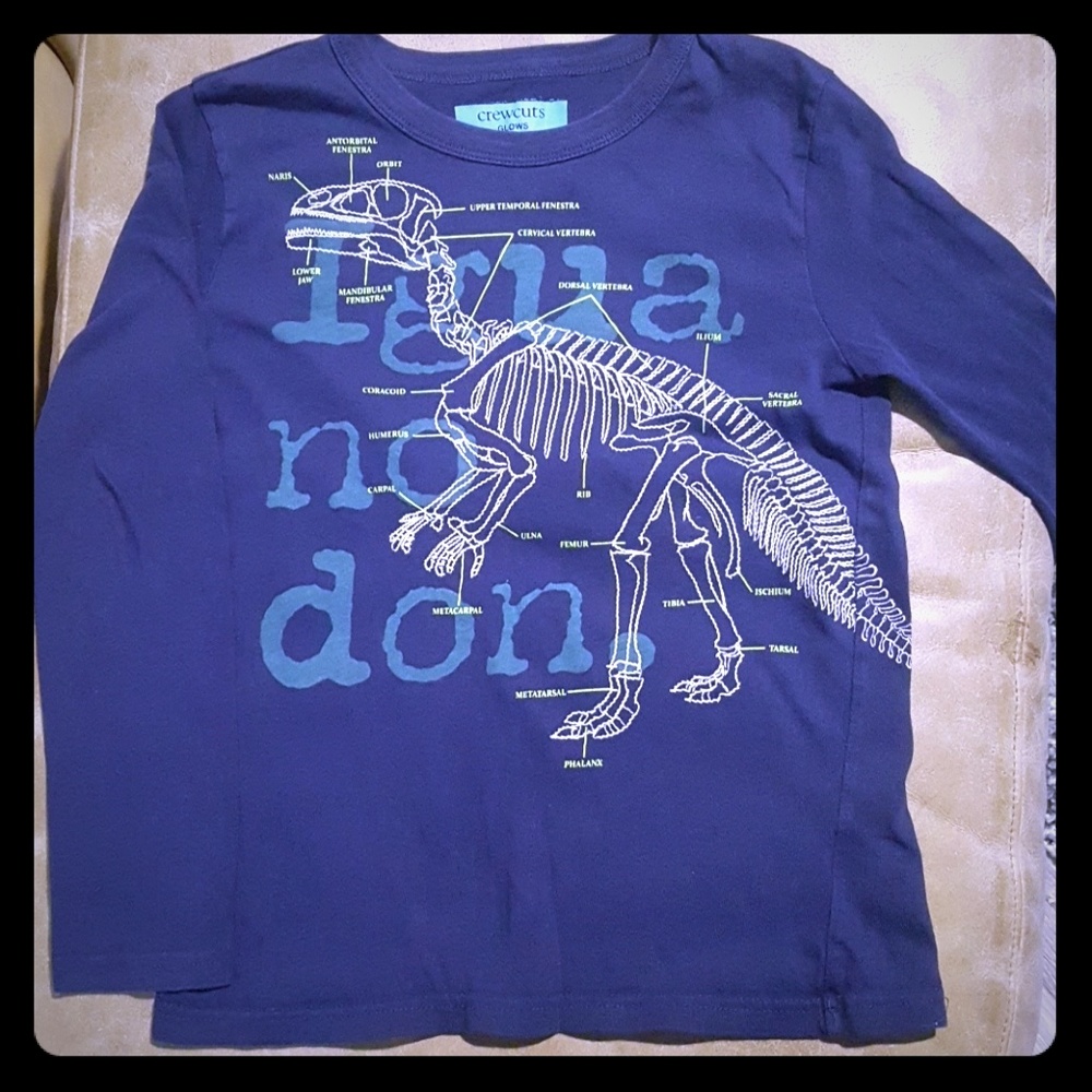 Glow in the dark iguana x-ray tee